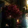_nowara3