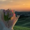 amiiraa.mohameed