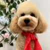 poodle.luna