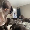 birddogdad4