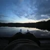 tripz_real