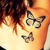 _sareni_leptir_