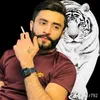 hassanalhammadi40