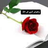 user7hm5