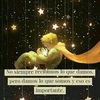 lunaresmarlen