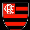 janielsilva526