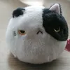 dyth7abtlzf4