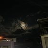 daniell06_
