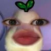 eijjkxbts