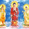 _dongchau