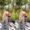 4lljahh_4