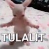 lariatuh