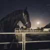 za_aq4