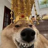 karonmc