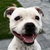 snoopythestaff