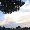 voicoi8414