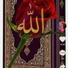 selcan895