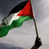 kotbmedhatkotb20