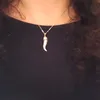 pinucciasorrenti