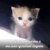 skskskskjfk
