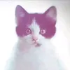 kattyluver29
