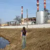 werti38