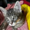 user.name_139