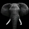 elefant_64
