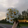 duhokii47