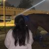 horse703s
