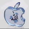user3682260964940
