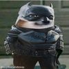 doge_wayne