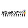 seyi_gallery