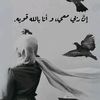 shehab6024