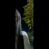 _luuveecc_