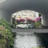 nicolatysonwasatk