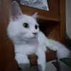 user3k5rudo7a1