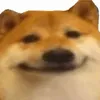 tchomasdog