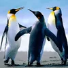 hahahakdoghehe1228