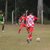 eotaldoguiii