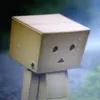 user5550120065087