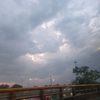 cris_12431