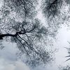 retno_818