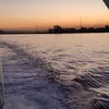 ellabella...34
