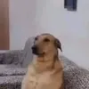 mikaxxjj