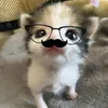kim_nh29