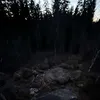 yz.dprx