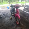 doni17581