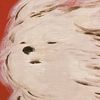 bear_blac