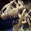rumesmuseum